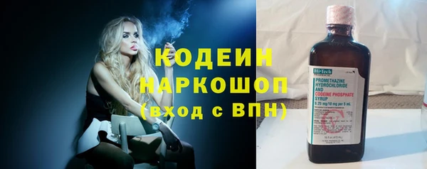 мяу мяу мука Арсеньев