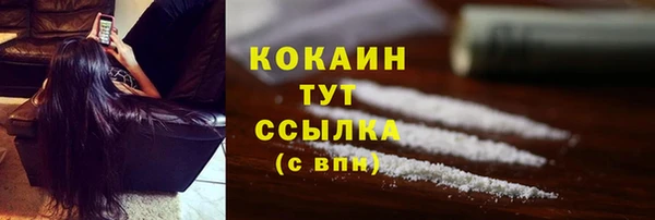 молекула духа Вяземский