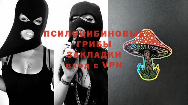 крисы Вязники